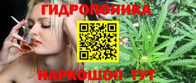 марихуана Будённовск