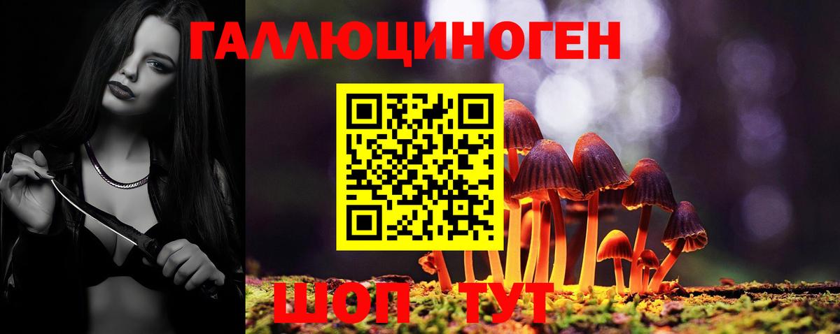 Псилоцибиновые грибы Psilocybine cubensis  Вход с VPN  Краснознаменск  Галлюциногенные грибы мицелий 